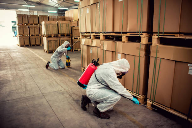Best Pest Prevention Services  in Terre Haute, IN