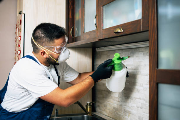 Best Cockroach Control Services  in Terre Haute, IN