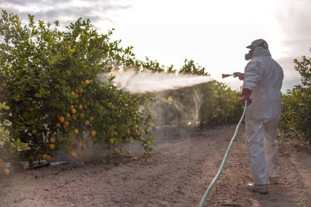 Best Emergency Pest Control  in Terre Haute, IN