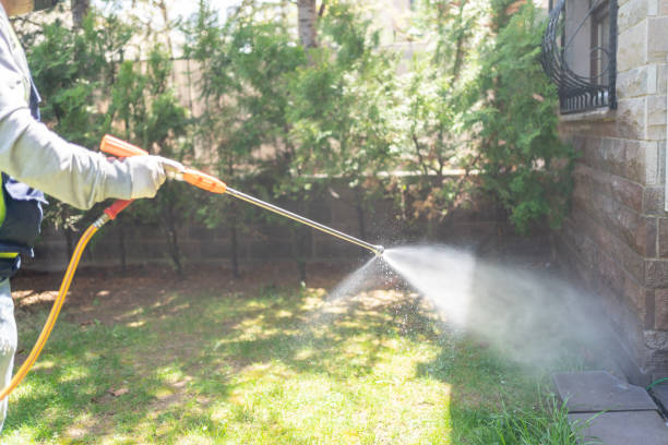 Best Mosquito Control Services  in Terre Haute, IN