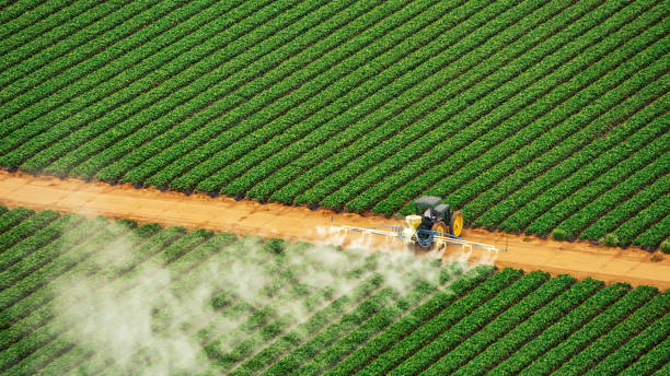 Best Commercial Pest Control Services  in Terre Haute, IN