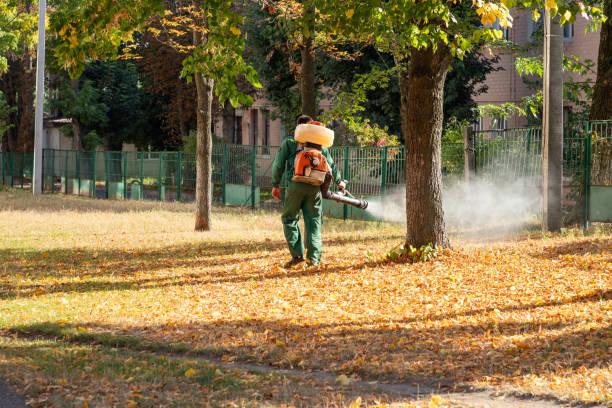 Best Rodent Control Near Me  in Terre Haute, IN